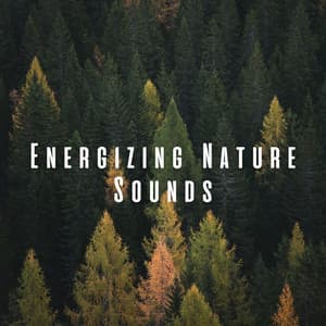 Energizing Nature Sounds - Nature Noises
