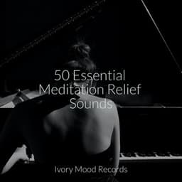 50 Essential Meditation Relief Sounds - Chakra Balancing Sound Therapy
