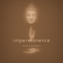 Impermanence - Noah Dhamoren