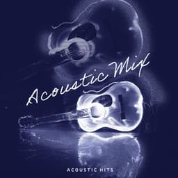 Acoustic Mix - Acoustic Hits