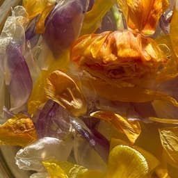 1 Chakra Found: Locating Your Center - Spa Music Relaxation