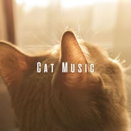 Cat Music: Harmonious Tunes for Dreamy Cats - Relaxing Music for Cats