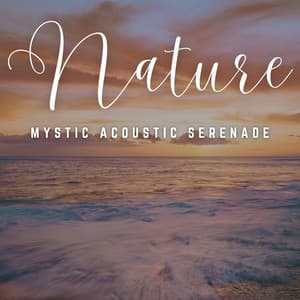 Acoustic Reverie: Unplugged Melodies - Inspiring Melodies