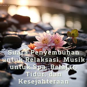 Suara Penyembuhan untuk Relaksasi, Musik untuk Spa, Belajar, Tidur, dan Kesejahteraan - Sinar Cahaya