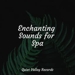 Enchanting Sounds for Spa - Calming Rainforest Sounds