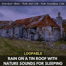 Rain on a Tin Roof with Nature Sounds for Sleep - Stardust Vibes