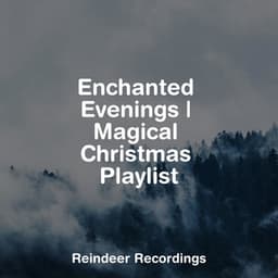 Enchanted Evenings | Magical Christmas Playlist - Christmas Eve