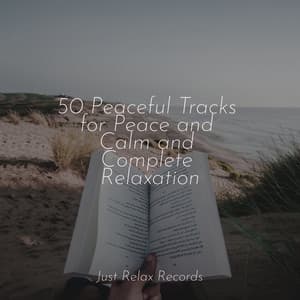 50 Peaceful Tracks for Peace and Calm and Complete Relaxation - Massage Therapy Music