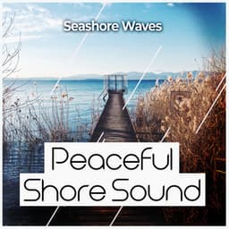 Peaceful Shore Sound - Seashore Waves