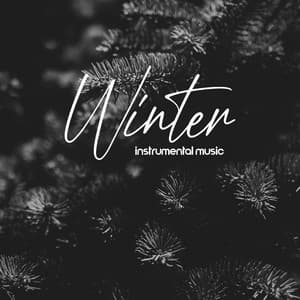 Winter Instrumental Music: Jazz for Winter Holidays 2021 - New York Lounge Quartett