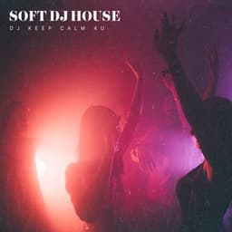 Soft DJ House - Dj Keep Calm 4U
