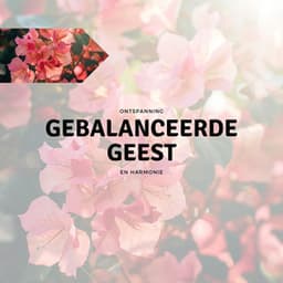 Gebalanceerde Geest - Ontspanning en Harmonie