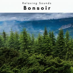 Bonsoir vol. 2 - Forest Noir