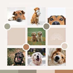 Tasteful Ambiance for Energetic Puppy - Dog Sleep Dreams