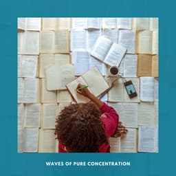 Waves of Pure Concentration - Concentration Music Ensemble