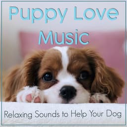 Puppy Love Music: Relaxing Sounds to Help Your Dog - Dog Music Dreams