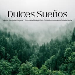 Dulces Sueños: Vientos Relajantes, Pájaros Y Sonidos Del Bosque Para Dormir Profundamente Toda La Noche - NatuREM