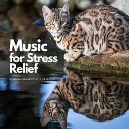 Music for Stress Relief: Babbling Brook's Cat A Cappella - Healing Frequencies