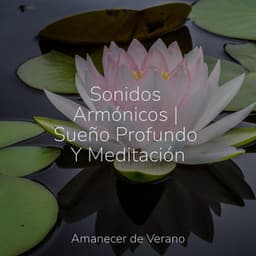 Sonidos Armónicos | Sueño Profundo Y Meditación - New Age