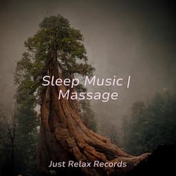 Sleep Music | Massage - Chinese Relaxation and Meditation