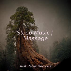Sleep Music | Massage - Chinese Relaxation and Meditation