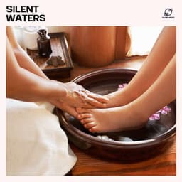 Silent Waters - Reiki