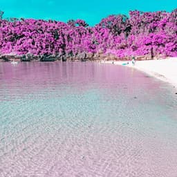 Lively Lo-fi - Ambiance for Balancing Thought - Sleepy Lofi Beats