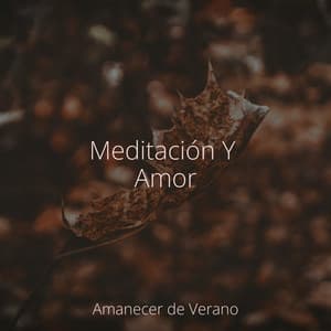 Meditación Y Amor - Canciones Para Niños