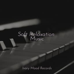 Soft Relaxation Music - Ivory Mood
