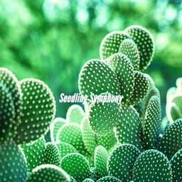 Seedling Symphony - Summer Chilling Jazz