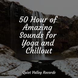 50 Hour of Amazing Sounds for Yoga and Chillout - Sounds Of Nature: Thunderstorm