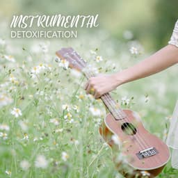 Instrumental Detoxification: Music for Relaxation, Stress Relief, and Emotional Healing - Just Relax Music Universe