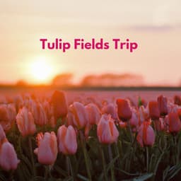 Tulip Fields Trip - Spring Jazz Music 2023 - Smooth Jazz Radio