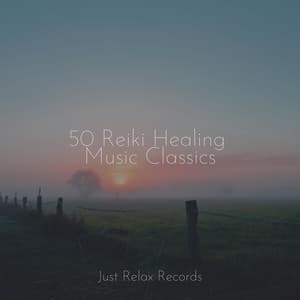 50 Reiki Healing Music Classics - Sleep Baby Sleep