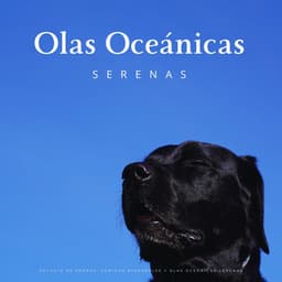 Refugio De Perros: Sonidos Binaurales Y Olas Oceánicas Serenas - Investigación de ritmos binaurales