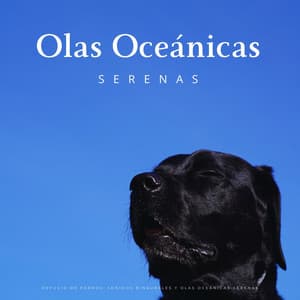 Refugio De Perros: Sonidos Binaurales Y Olas Oceánicas Serenas - Investigación de ritmos binaurales