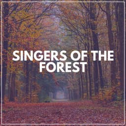 Singers of the Forest - Rivers and Streams