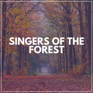 Singers of the Forest - Rivers and Streams