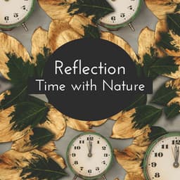 Reflection Time with Nature - Nature Sounds Paradise