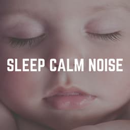 Sleep Calm Noise - Sleep Easy Solutions
