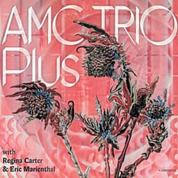 AMC Trio Plus - AMC Trio