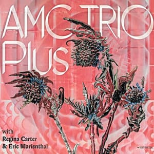 AMC Trio Plus - AMC Trio