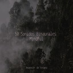 50 Sonidos Binaurales Mindful - Música para Correr