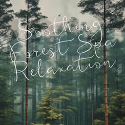 Soothing Forest Spa Relaxation - 101 Nature Sounds