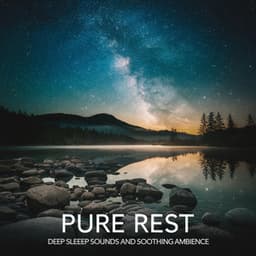 Pure Rest Deep Sleep Sounds and Soothing Ambience - Deep Sleep Meditation