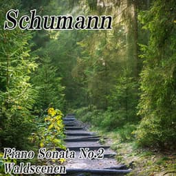 Piano Sonata No.2 / Waldscenen - Pianozone