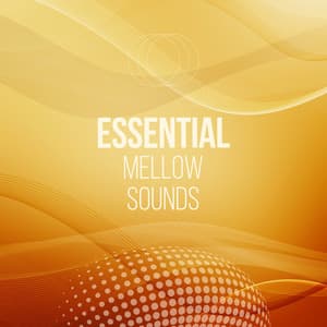 zZz Essential Mellow Sounds zZz - Palm Analogue