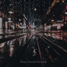 50 Calming Spring Rain Sounds for Spa & Sleep - Nature Sound Series