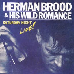 Saturday Night Live! - Herman Brood & His Wild Romance
