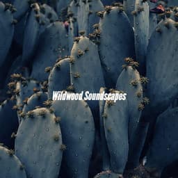 Wildwood Soundscapes - Cozy Coffee Shop Jazz